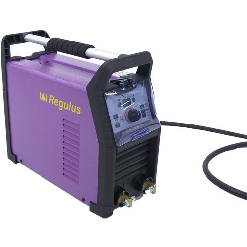 グリーンクロス 直流溶接機 RAA-200D ( 6300056039 ) 【製造会社取寄】