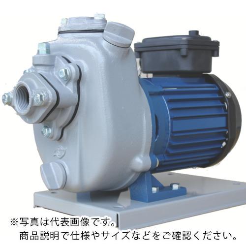 TERADA ( 寺田揚水機製造所 ) 土壌揚水機 セルプラポンプ 三相200V 全閉外扇屋見せ掛け原動機付 50サイクル ( MP3N-0041TR 50HZ )
