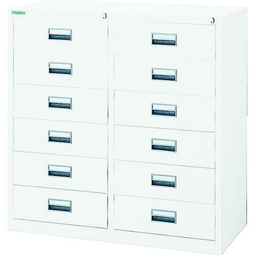 【SALE必要経費】TRUSCO ( トラスコ中山 ) 判定基準書庫(D400)収納家具6段 880XH880 W ( WT2C6S )