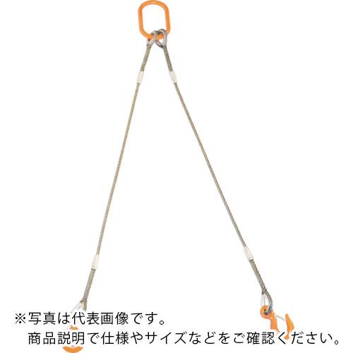 TRUSCO ( トラスコ中山 ) 2本吊り玉掛けワイヤロープスリング Wスリング フック付き 6mmX2m ( GRE-2P-6S2 ) 13,396円