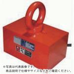 カネテック 永電磁リフマ ( LEP-Q752 )