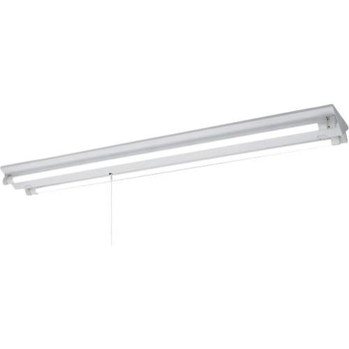岩崎 ( 岩崎電気 ) LDL40×1灯用逆富士形PS付定格出力形Lフリー ( ELV40202APFH9 ) 岩崎電気(株) 【メーカー取寄】