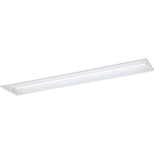 岩崎 ( 岩崎電気 ) LDL40×2灯用 埋込形 定格最終生産物形 L無償性 ( ELM40201PFH9 ) 【製造業者取寄】
