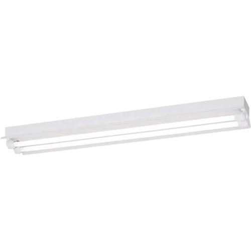 岩崎 ( 岩崎電気 ) LDL40×2灯用笠付形 WP L無償性 ( ELRW40201APFH9 )