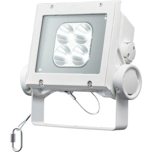 岩崎 ( 岩崎電気 ) LED投光器(20クラス、狭角タイプ、昼白色タイプ) ( ECF2040N/NSAN8/W )