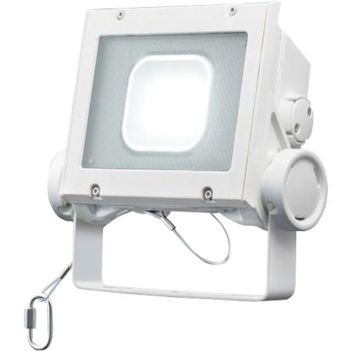 岩崎 ( 岩崎電気 ) LED写真用照明(40位置付け、超広角手合い、昼白いこと手合い) ( ECF4040SW/NSAN8/W )