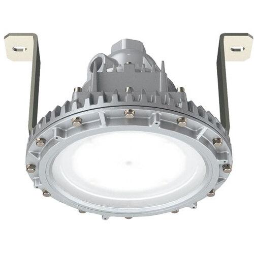岩崎 ( 岩崎電気 ) 防爆形LED照明器具特殊直付形 ( EXIL9033ASA9-22 )