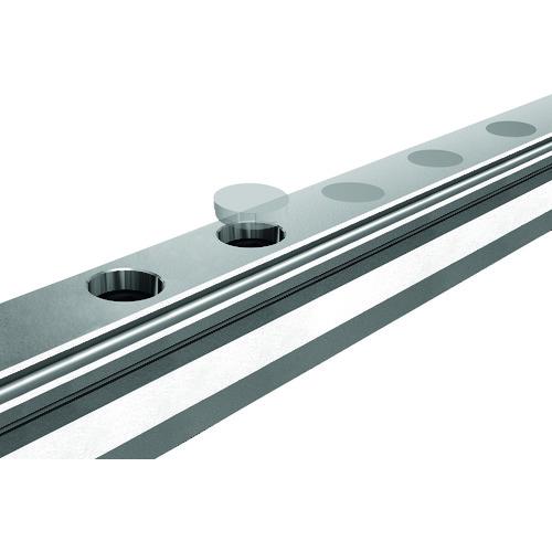 THK LMレール取付穴専用 CVキャップ 使用ボルトM8 100個入 ( CV8. (100PCS) )