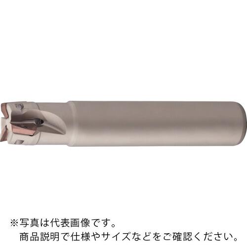 住友電工 イゲタロイ SECーウェーブミル WEZ型 ( WEZ11032EL02 )