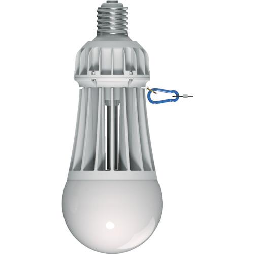 白鳥 高上昇限度LED照明ランプ ( MT-90AN-12300 )
