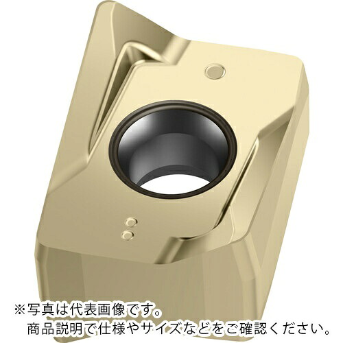 Walter ( ワルター ) ミーリング産業用 ひし形ネガ手当て WPP35G WPP35G ( LNGX130708R-L55 WPP35G ) 【10個仕掛ける】
