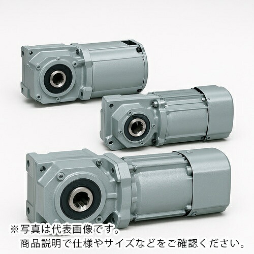 ニッセイ GTR MINI SERIESインダクションギアモータ(15W~90W) 同心中空軸 同心中実軸 F2タイプ ( F2SM-15-25-T90 )