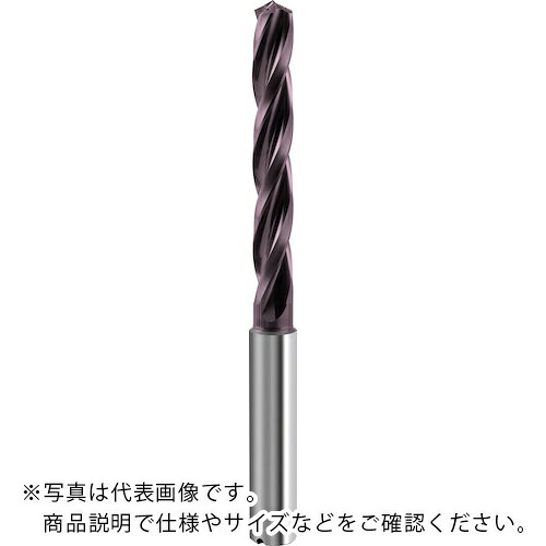 GUHRING ( グーリング ) 3枚刃超硬せん孔機 油絵の具大広間付き添い人 FT200U 10.8粍 ( 6590 10.800 )