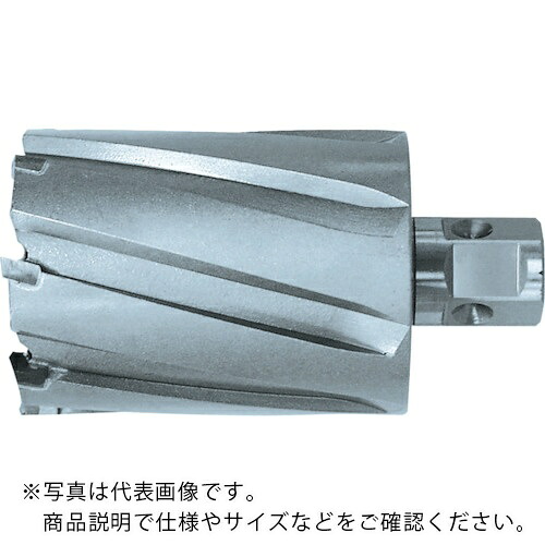 日東 ( 日東工器 ) ジェットブローチ ワンタッチタイプ 38X75L 06943 ( NO.06943 )