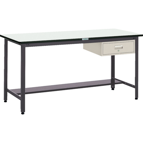 TRUSCO ( トラスコ中山 ) 中荷重立作業台(500kg)HAEW型 1500X750XH885 1段引出付 ダークグレー色 ( HAEWP-1575F1 (F-1NG ﾂｷ) ) トラスコ中山(株) 【メーカー取寄】