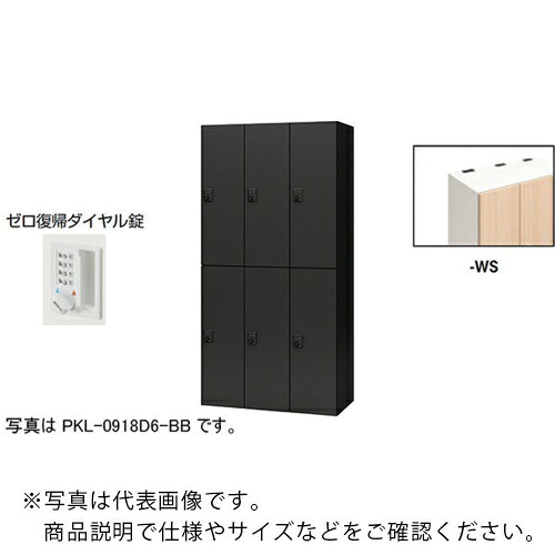 【SALE必要経費】NAIKI ( ナイキ ) 個人的ロッカー(6人用) 衣嚢 PKL型 ラージタイプ 絶無舞いもどる文字盤錠 ( PKL-0918DR6-WS ) 【製造業者取寄】