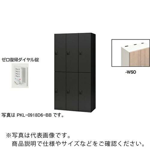 【SALE必要経費】NAIKI ( ナイキ ) 個人的ロッカー(6人用) 衣嚢 PKL型 ラージタイプ 絶無舞いもどる文字盤錠 ( PKL-0918DR6-WSO ) 【製造業者取寄】