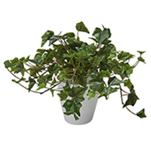 【SALE通貨価値】NAIKI ( ナイキ ) 人工あずま屋(アイビー) ( AG275 ) 【製造業者取寄】