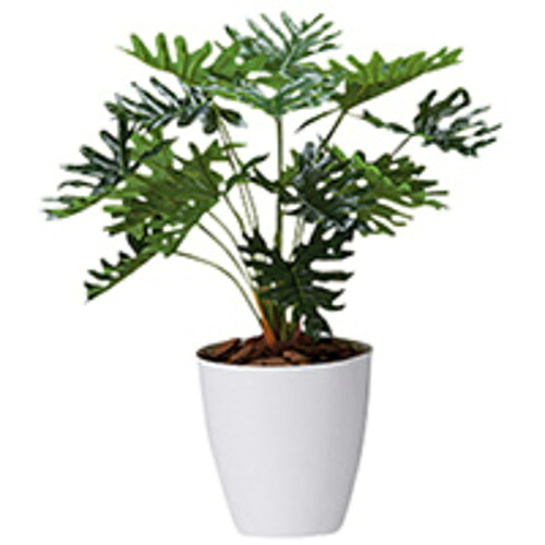 【SALE通貨価値】NAIKI ( ナイキ ) 人工あずま屋(クッカバラ) ( AG280 ) 【製造業者取寄】