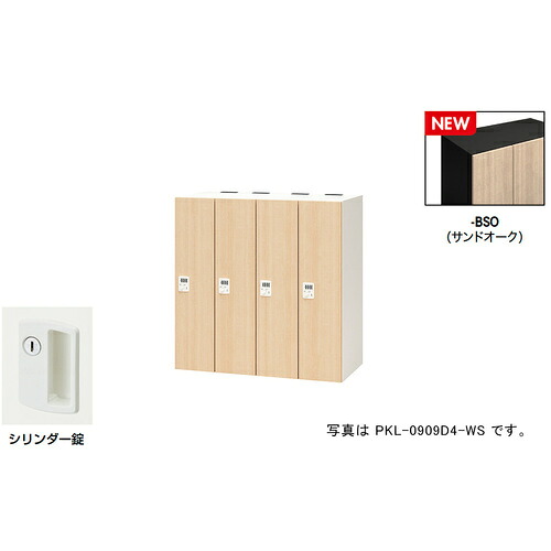 NAIKI ( ナイキ ) 個人的ロッカー(4人用) 衣嚢 PKL型 ラージタイプ 円柱錠 ( PKL-09094-BSO ) 【製造業者取寄】