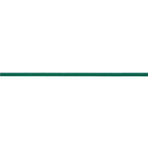 ニッサチェイン 上塗り鉄条 100m巻 緑 ( R-IY45V-GN ) 【製造業者取寄】
