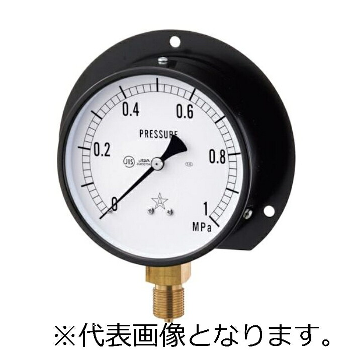 右下精器 一般圧力計 ( BS3/8-100X100MPa )