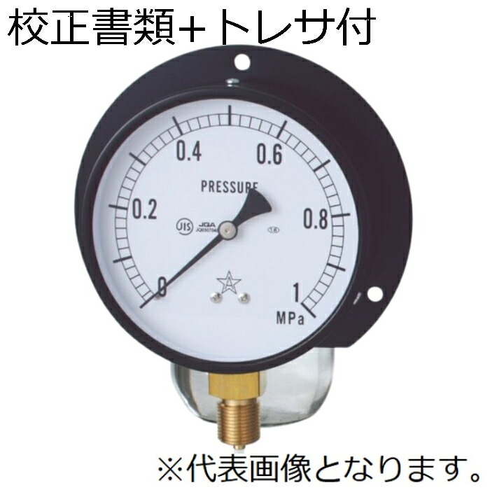 【SALE必要経費】右下精器 原則として剪断応力計 目盛り調整書きもの3点仕掛ける ( BVT3/8-100X1.6MPa(G421-211-V)-KOUSEI )