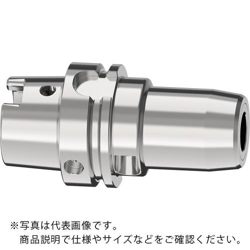 YZ-GERMANY ハイドロホルダ ( HSK-A63D8L70 ( 1577166 ) )