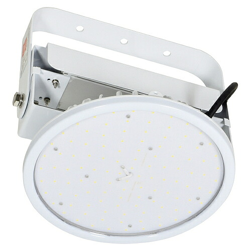 日動工業 施設用LED ( L100V2-P-HW-50K-SAL ) 42,592円