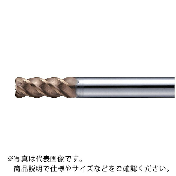 【SALE通貨価値】MOLDINO 時代 TH力強さ粉砕機(ラジアス) ( EPP4060-10-TH )