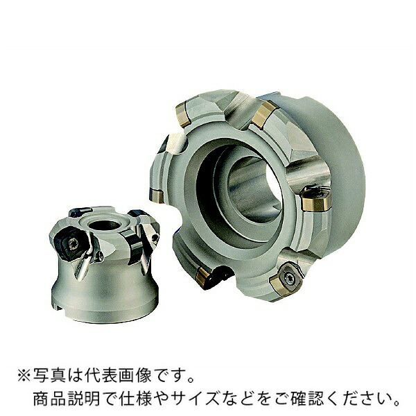 MOLDINO アルファ デュアルフェースミル ( ASDF5100R-5U ) 花・ガーデン・DIY-DIY・工具