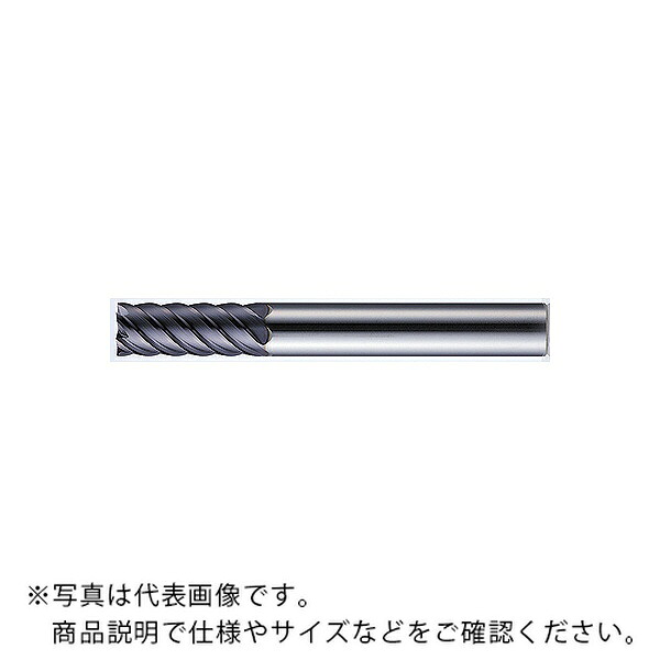 【SALE通貨価値】MOLDINO 世紀21(真四角) ( CEPR6140 )