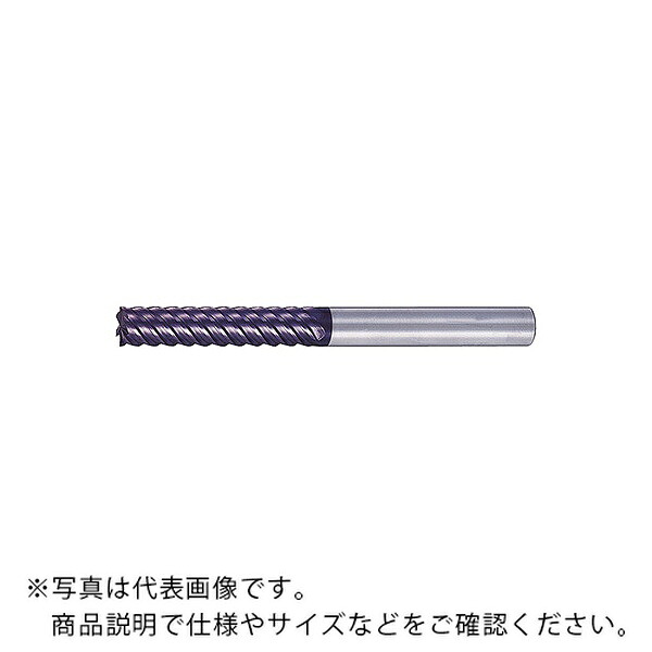 【SALE通貨価値】MOLDINO 時代21 ( CEPL6200 )