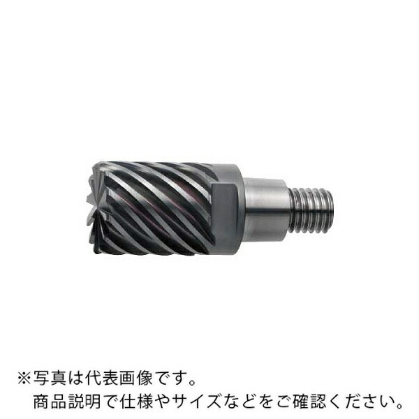 三菱マテリアル ヘッド/ヘッド交換式エンドミル ( IMX12C6HV120R10012 EP7020 )