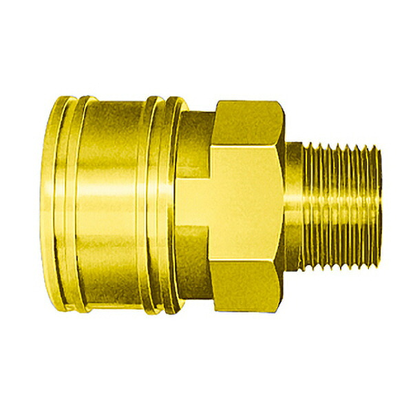 【SALE通貨価値】日東工器 TSPカプラ ( 12TSM BRASS FKM )