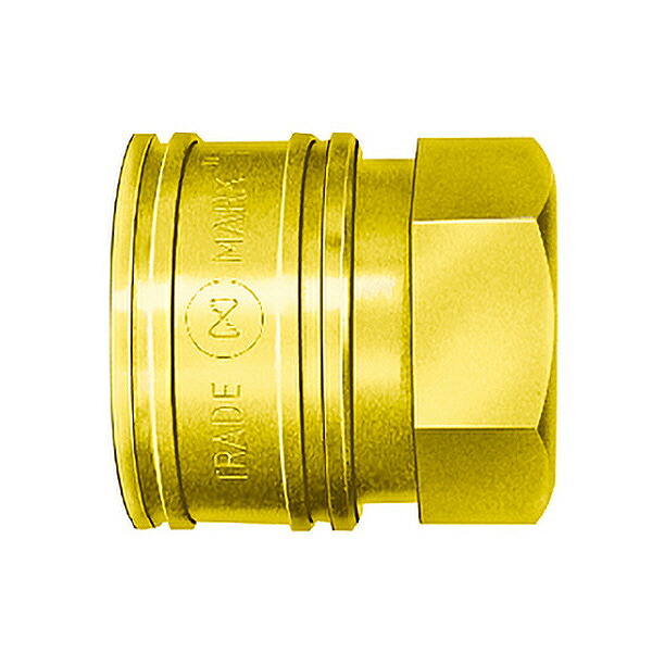 【SALE通貨価値】日東工器 TSPカプラ ( 12TSF BRASS FKM )
