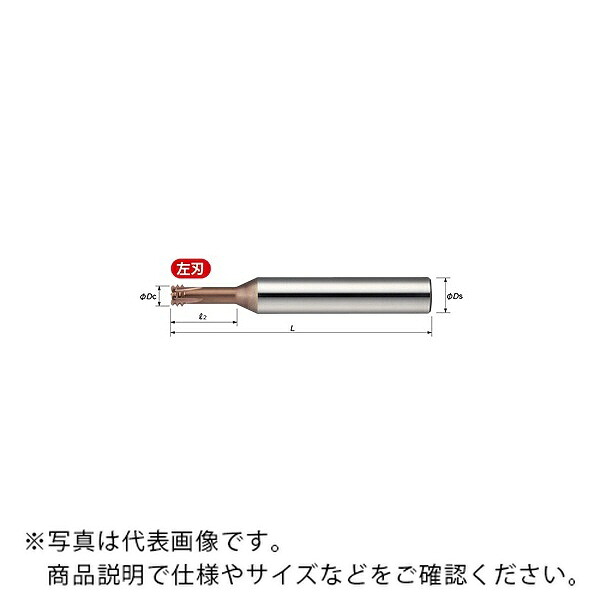 MOLDINO 世紀 Dスレッドミル ( EDT-1.75-42-TH )
