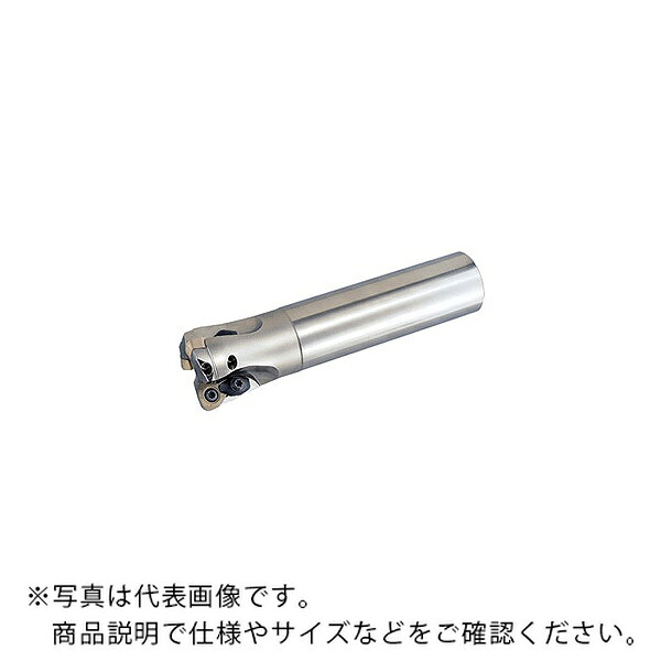 MOLDINO ラジアスミル/高送ること ( ASRTL3025R-2 ) その他-DIY・工具-花・ガーデン・DIY