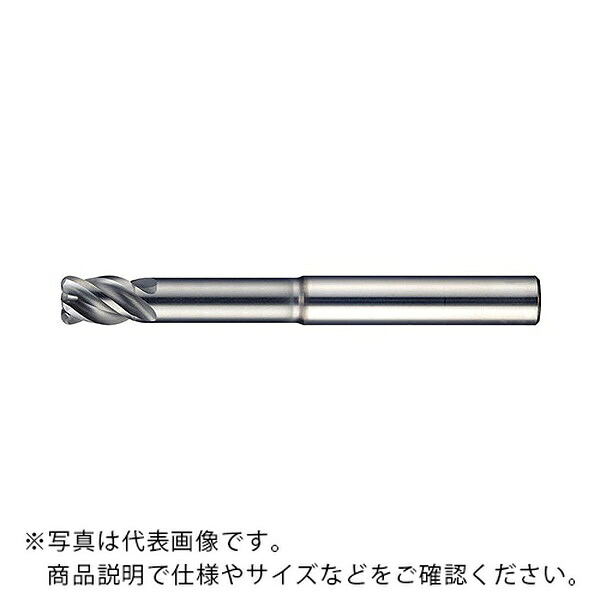 【SALE通貨価値】MOLDINO 世紀 SUSマルチ(ラジアス) ( EPSM4120-60-R1.0-PN )