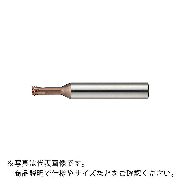 【SALE通貨価値】MOLDINO 世紀 Dスレッドミル ( EDT-1.25-16-TH )