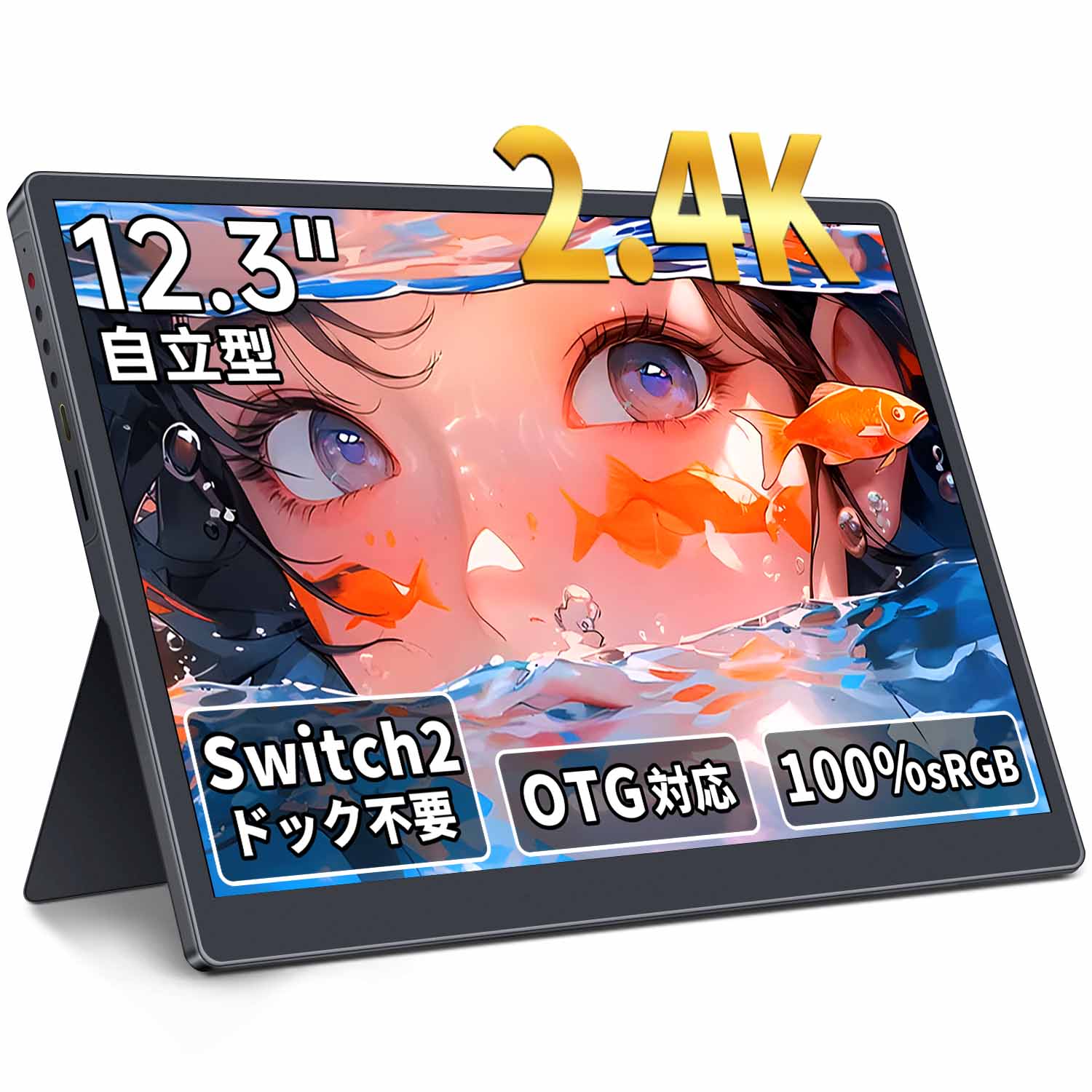 移動性管する HAILESI 12.3in 2.4K 2400x1600 Switch2ドック不必要 OTG相応う 移動性見せびらかす 3:2画面比 100％sRGB広色域 HDR 380nit IPSダイアログボックス 超薄型 超軽さ 独立独歩型 内蔵デュアル金棒引き Switch2/なおなお書き5/XBOX/パソコン/Mac/iphoneなど相応う