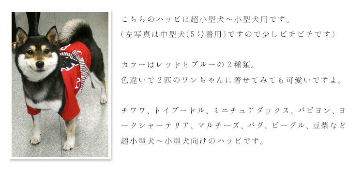 楽天市場 小型犬 犬服 はっぴ 法被 半天 半纏 ペット イヌ用 犬用 ワンちゃん用お祭りハッピ 1号 3号 5号 メール便ok It ふだんきものハイムラヤ