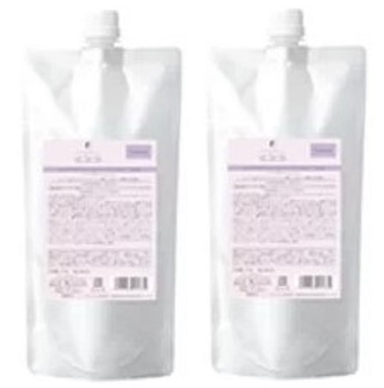 《２個セット・送料無料》【デミ】フローディア トリートメント グランメロウ 450g レフィル 2個セット FLOWDIA
