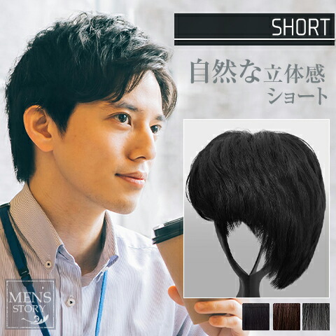 楽天市場】ヘアダイレクト 男性医療用かつら メンズストーリー