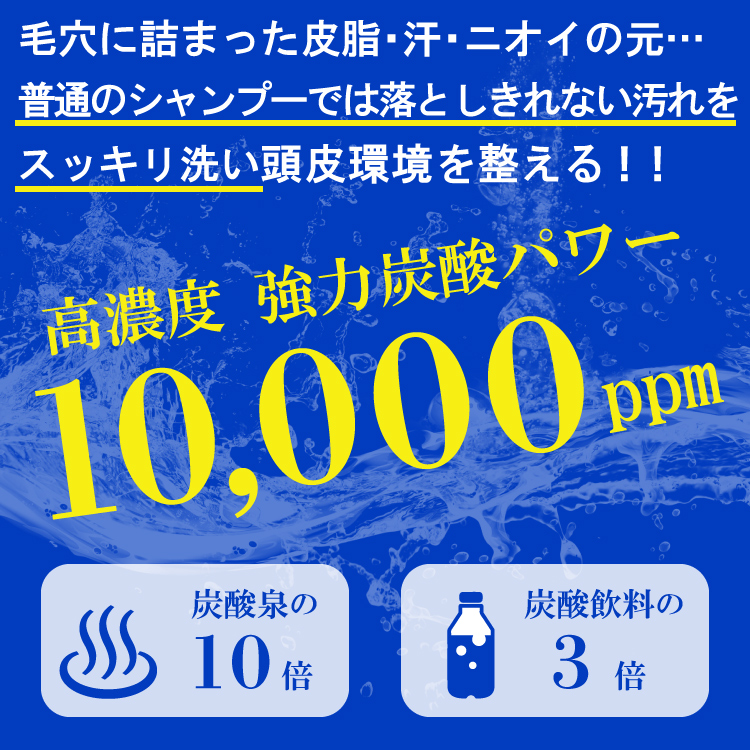 1本あたり通常3,190円→2,870円【定期購入】医薬部外品 薬用スキャルプシャンプー3本セット／サロン専売品　濃密炭酸泡シャンプー 育毛 薄毛 増毛の気になる方へ 美容室専売品 プロ仕様