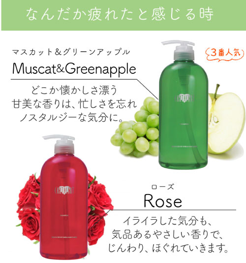 楽天市場 美容室専売品 シャンプーセット アロマシャンプー トリートメントセット 各240ml ノンシリコンシャンプー 美容室専売 アミノ酸系 シャンプー ヘアメイクアース Hair Make Earth 楽天市場店