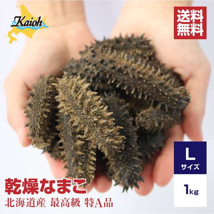 【楽天市場】北海道産乾燥海参【特Ａ品】3Ｌサイズ40個前後入り（500g）中華高級食材 干し海鼠 北海キンコ 海参 安心 品質保証 北海道産 天然  乾燥 なまこ 乾燥ナマコ 干しなまこ 干しナマコ 高級珍味 贈答品 ギフト ナマコ 乾燥 金ん子 ギフト : 海参王