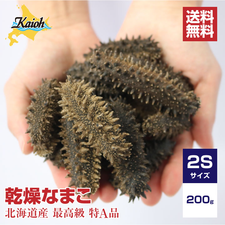 楽天市場】北海道産乾燥海参【特Ａ品】Ｌサイズ59個前後入り（５００ｇ）中華高級食材 干し海鼠 北海キンコ 海参 品質保証 北海道産 天然 乾燥 なまこ  乾燥ナマコ 干しなまこ 干しナマコ 高級珍味 贈答品 ギフト 金ん子 ギフト : 海参王