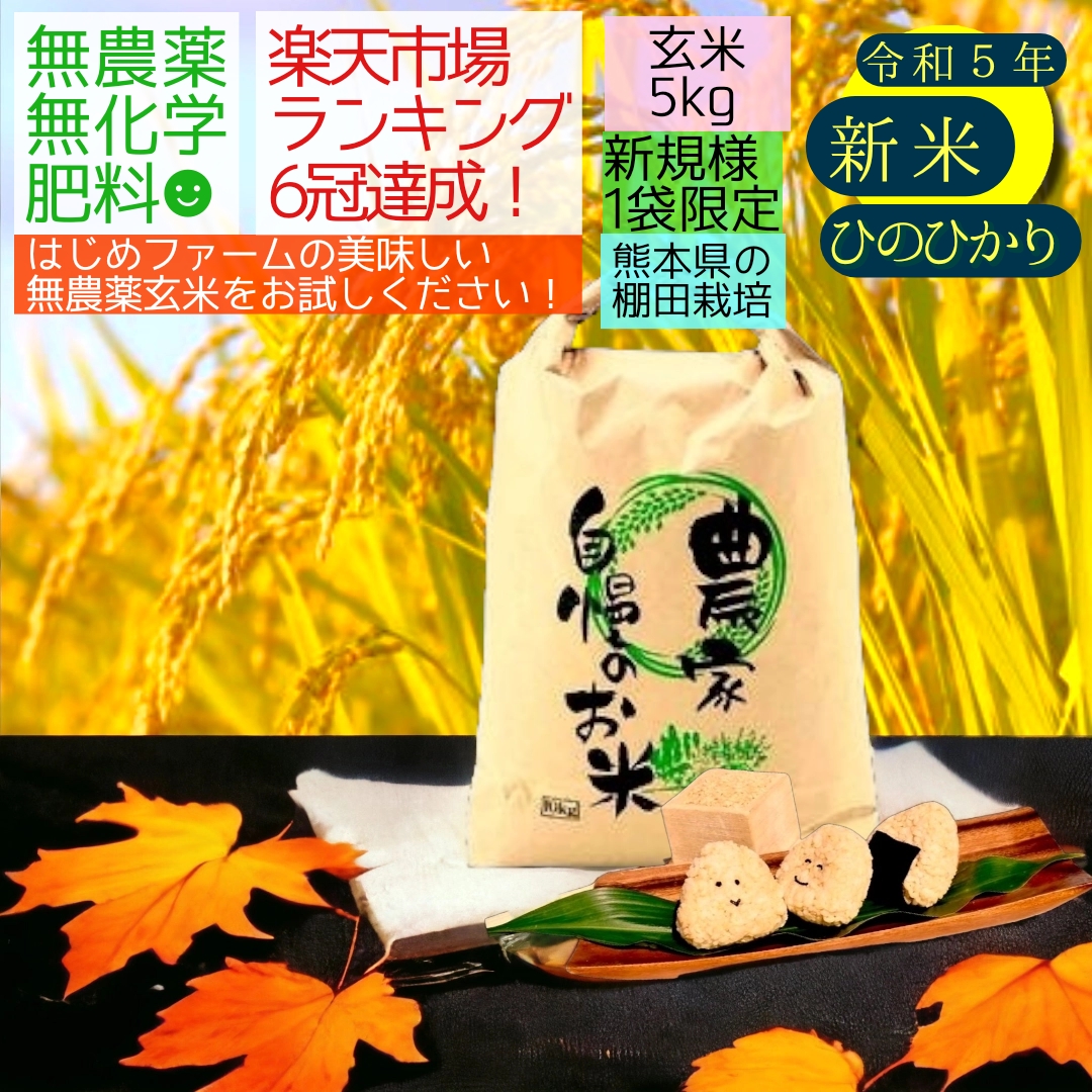 楽天市場】【スーパーセール10％OFF】新米 無農薬 玄米 5kg はじめよう