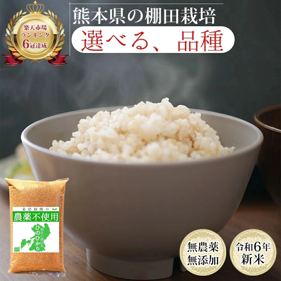 【コメ不足に備えよう】無農薬 玄米 10kg 新米 ヒノヒカリ コシヒカリ オリジナルブレンド 令和6年産 熊本県産 米 10キロ 九州産 熊本 お米 農薬不使用 オーガニック 有機 有機栽培 健康 お祝い 青玄 若玄米